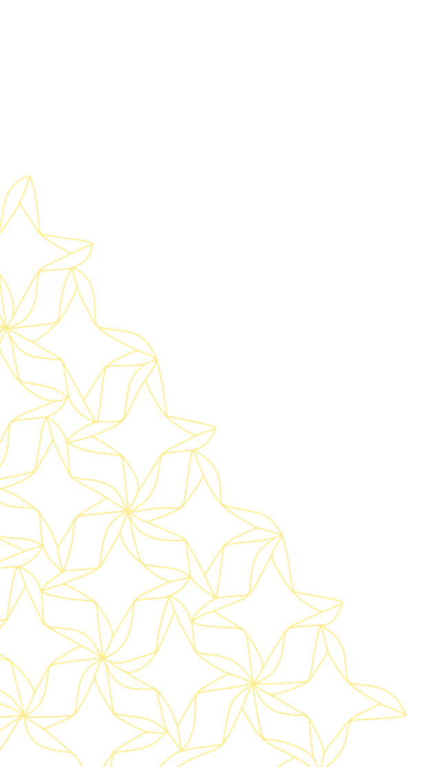 Fly Cham pattern