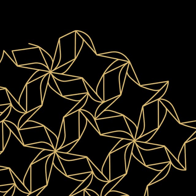 Fly Cham pattern